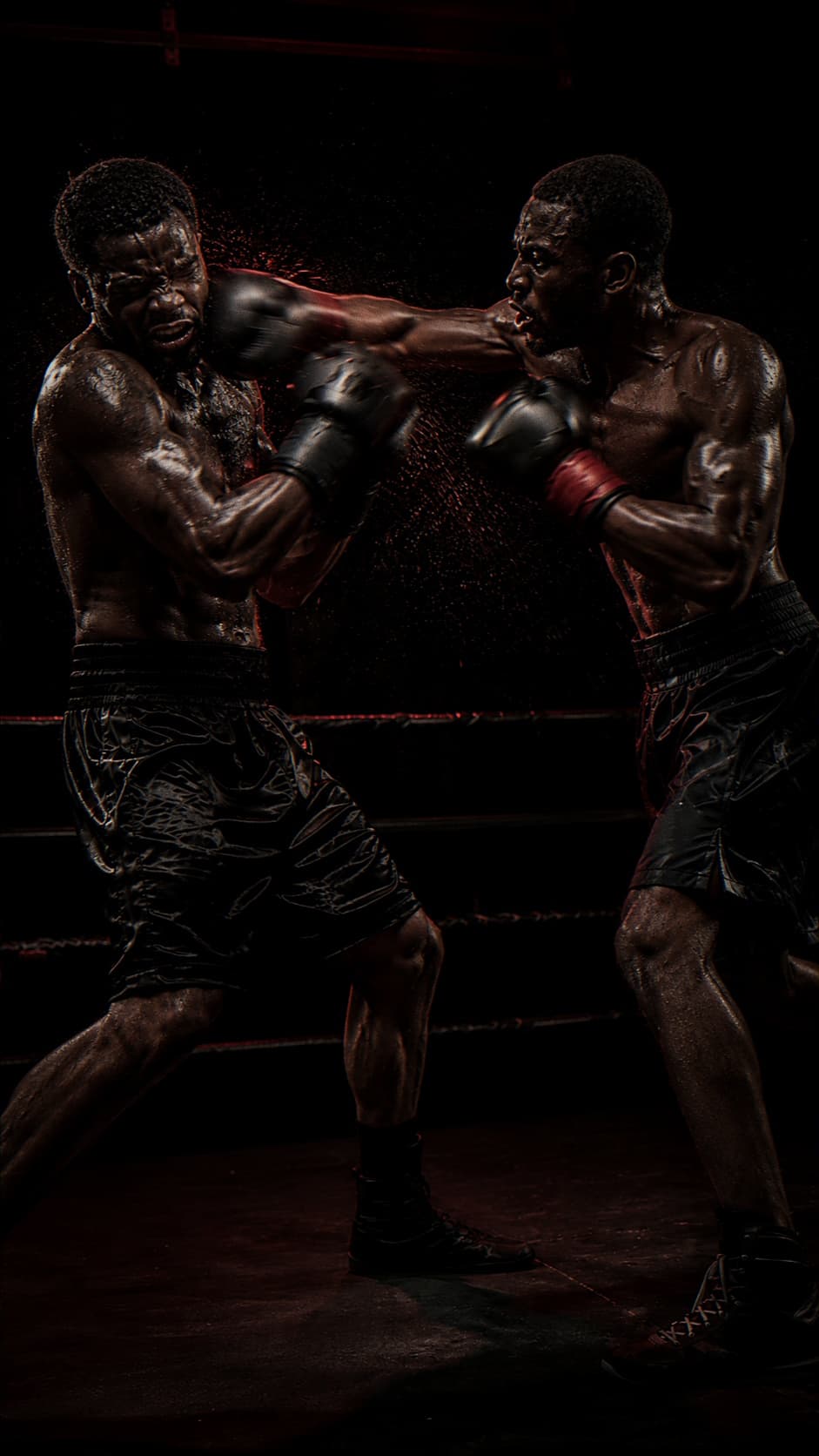 Deux boxeurs en plein échange de sparring